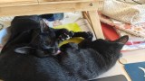 Nighty und Nata (3)